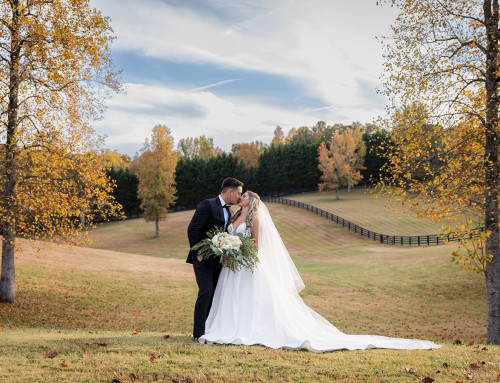 Why A Professional Wedding Photographer Is Essential For Your Big Day