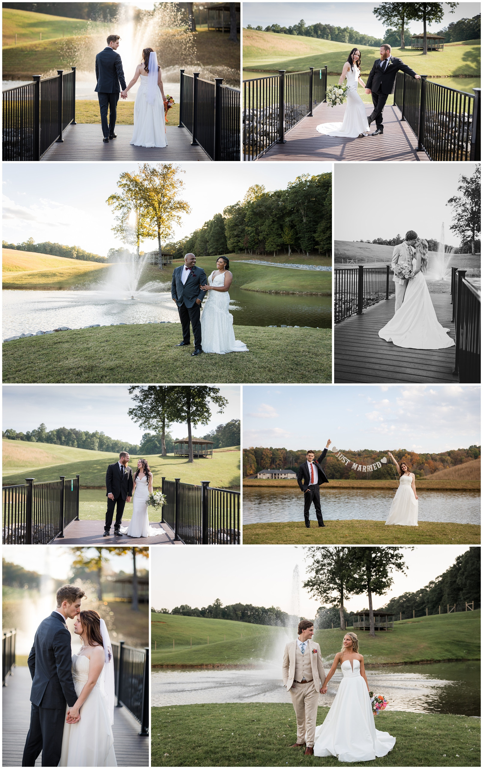 Swan Lake Overlook island portraits