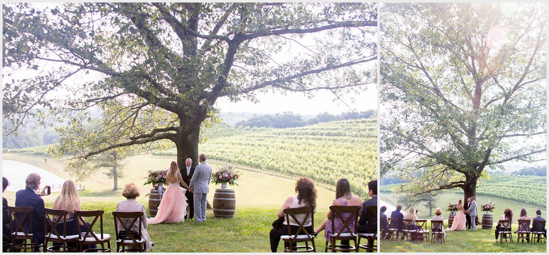 vineyard-wedding-pictures_0004