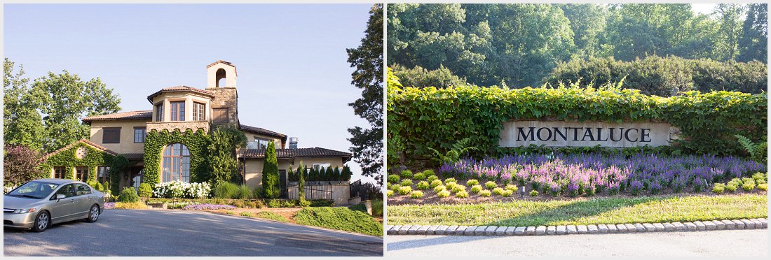 vineyard-wedding-pictures_0010