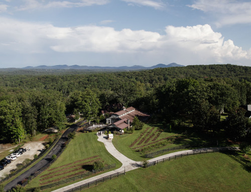 White Oaks Vineyard
